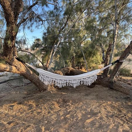 Casa Agave: Comfy Joshua Tree Cottage With Free Breakfast Bar Bagian luar foto