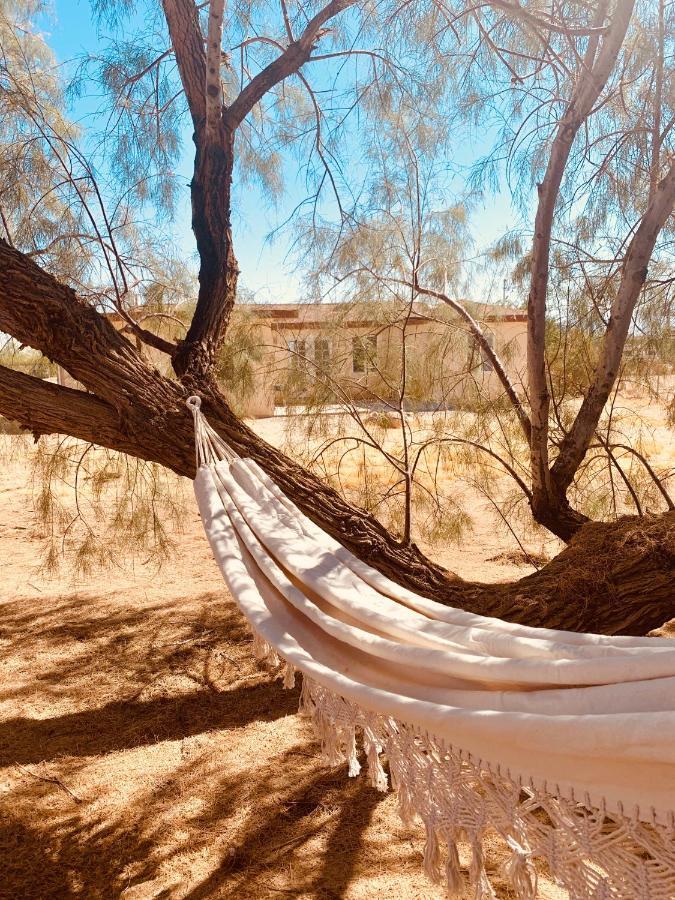 Casa Agave: Comfy Joshua Tree Cottage With Free Breakfast Bar Bagian luar foto
