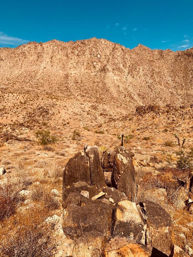 Casa Agave: Comfy Joshua Tree Cottage With Free Breakfast Bar Bagian luar foto