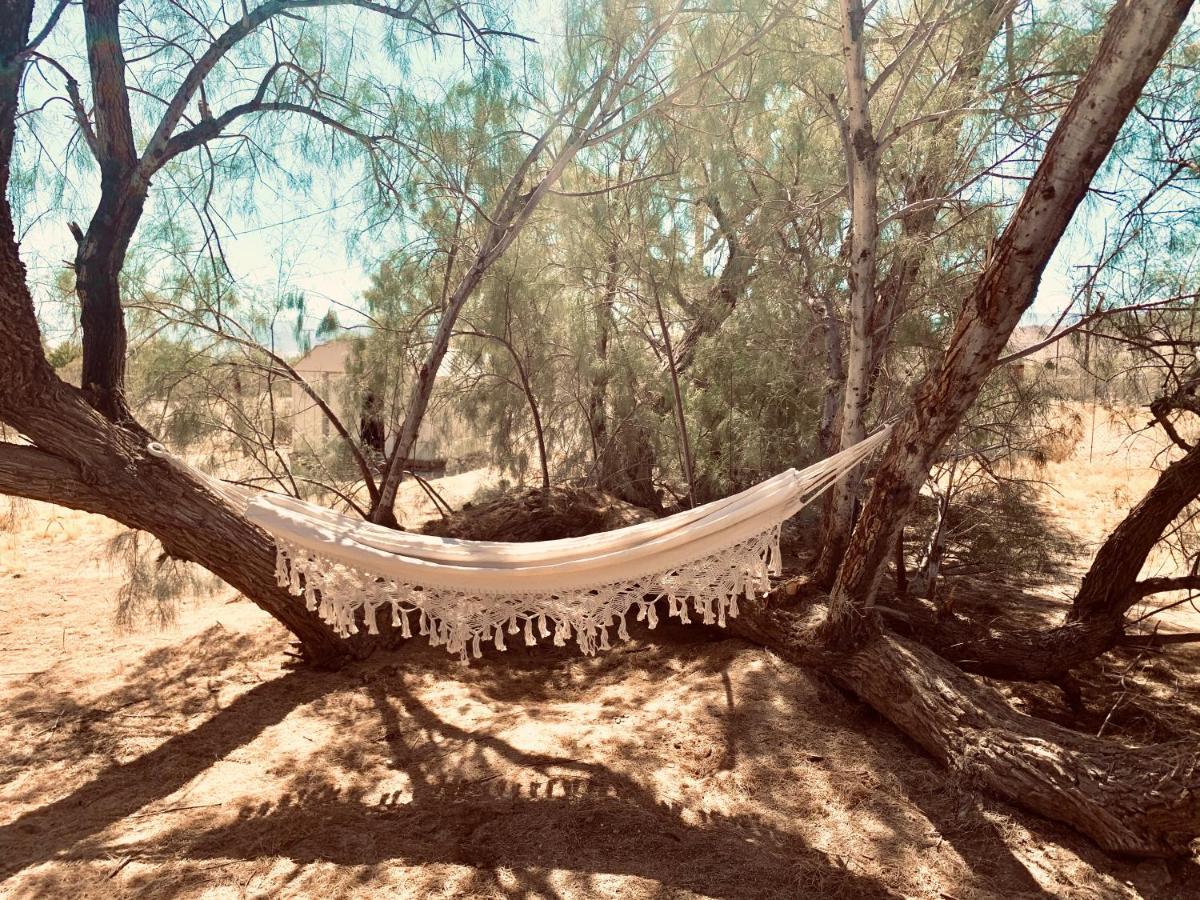 Casa Agave: Comfy Joshua Tree Cottage With Free Breakfast Bar Bagian luar foto