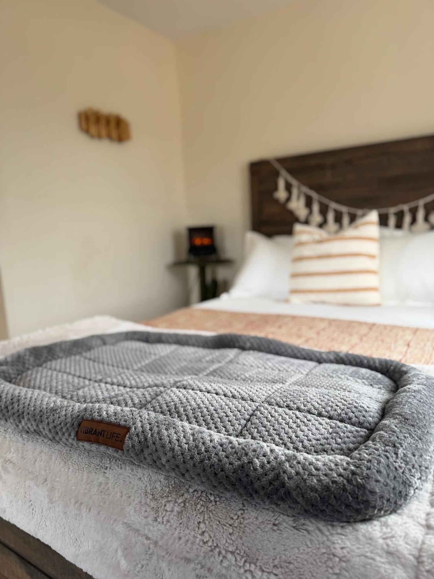 Casa Agave: Comfy Joshua Tree Cottage With Free Breakfast Bar Bagian luar foto