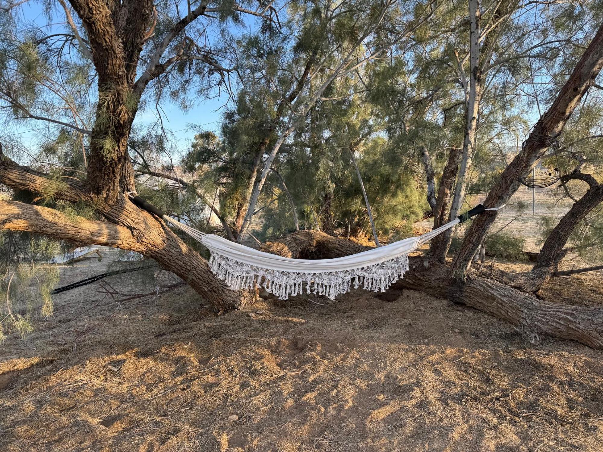 Casa Agave: Comfy Joshua Tree Cottage With Free Breakfast Bar Bagian luar foto